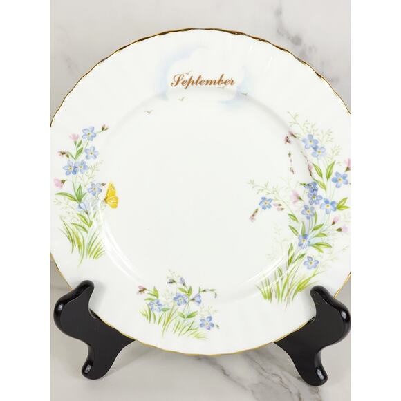 Royal Albert September Forget Me Nots Wild Flower 1987 Bone China 8" Decor Plate - Picture 2 of 11